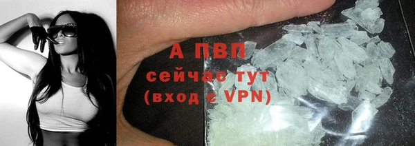 стаф Иннополис