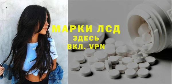 apvp Инсар