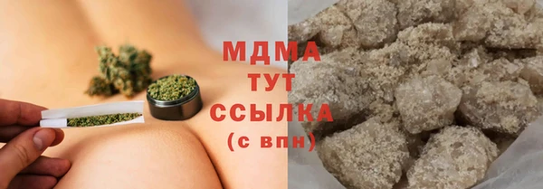 apvp Инсар