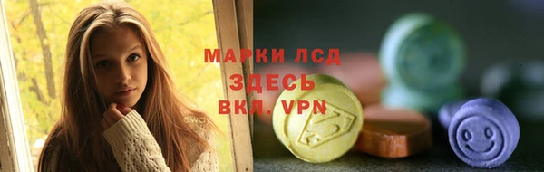 apvp Инсар