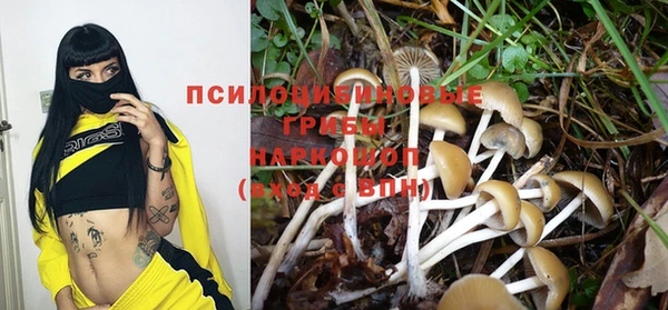 стаф Иннополис