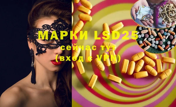 apvp Инсар