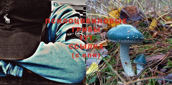 мяу мяу кристалл Инта