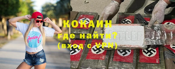 apvp Инсар