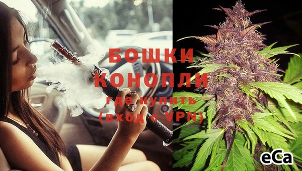 apvp Инсар