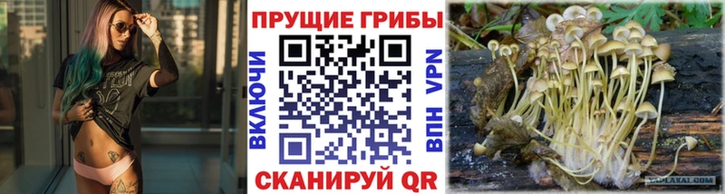 Галлюциногенные грибы Magic Shrooms  Купить  Пугачёв 